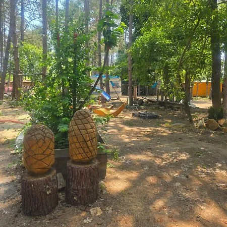Camping ла пуеста де соль *
